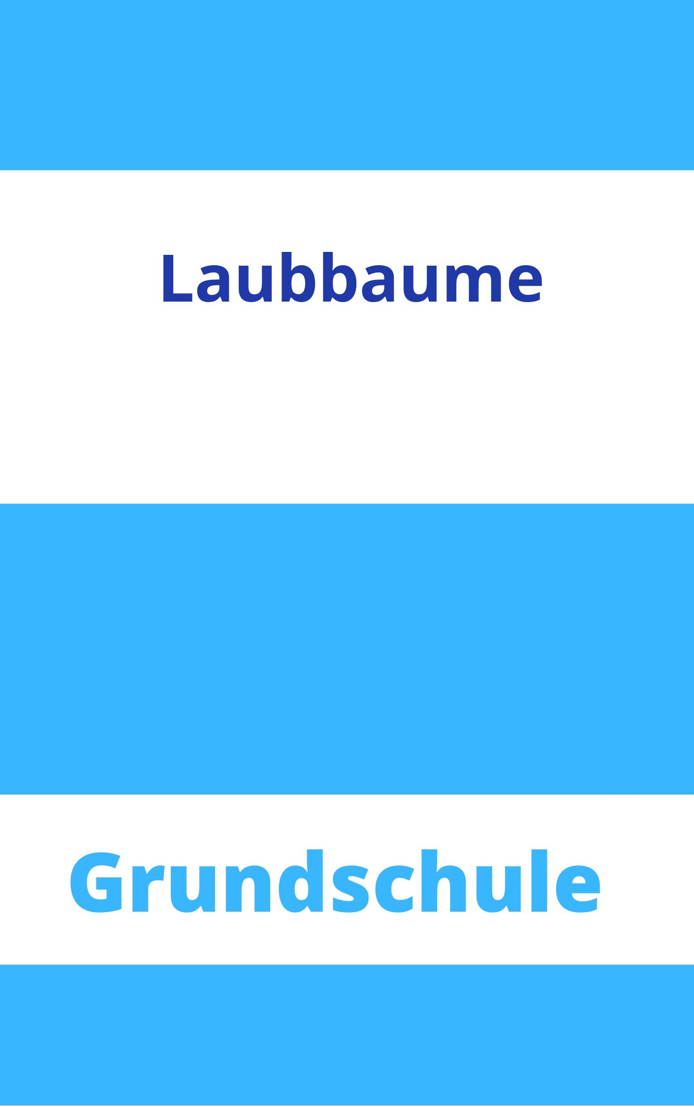 Laubbäume Grundschule Arbeitsblätter Arbeitsblätter