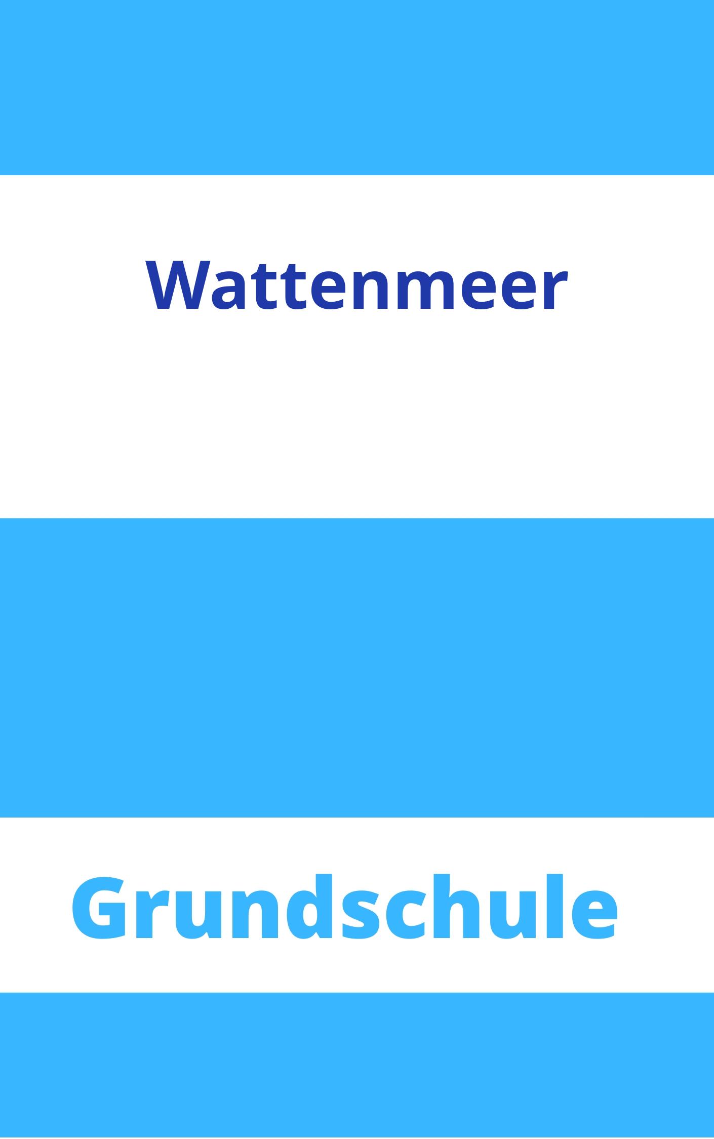 Wattenmeer Grundschule Arbeitsblätter Arbeitsblätter